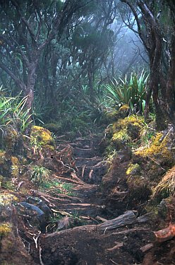 Réunion