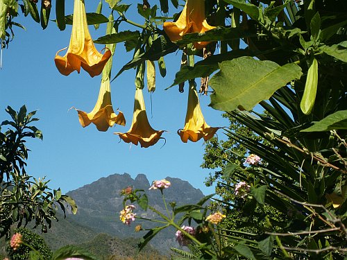 Réunion